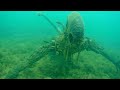 इस विडियो को जरूर देखना  || 10 Shocking Discoveries Made by Deep Sea Divers