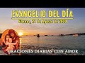 Evangelio del día Viernes, 21 de Agosto de 2020 - Ama a Dios y a tu prójimo como a ti mismo