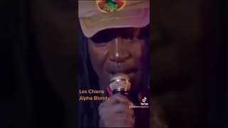 Les Chiens - Alpha Blondy ❤️💛💚Live @olympia Paris #alphablondy #leschiens #live #reggae #shorts