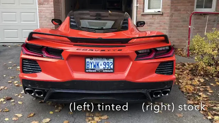 Paragon Performance C8 tail light tint kit