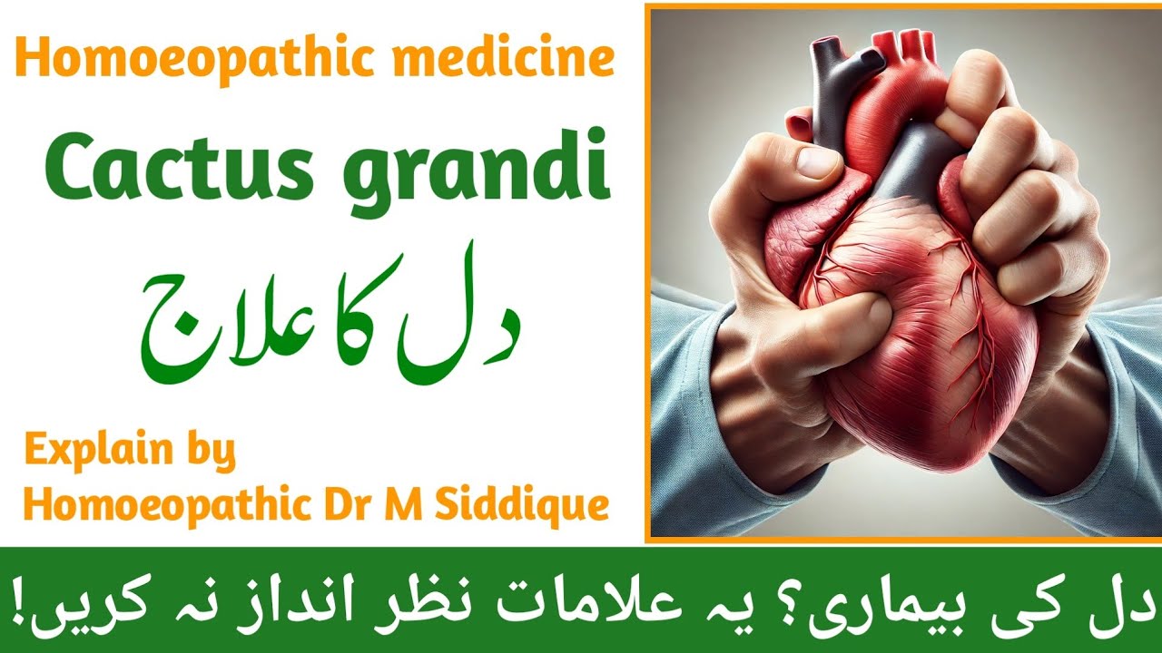 Cactus Grandiflorus: Homeopathic Remedy for Heart Health ♥️