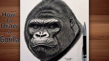 How to Draw a Realistic Gorilla | Simple Step by Step guide for Beginners