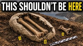 Scientists Found Something On A California Island That Shouldn't Be There