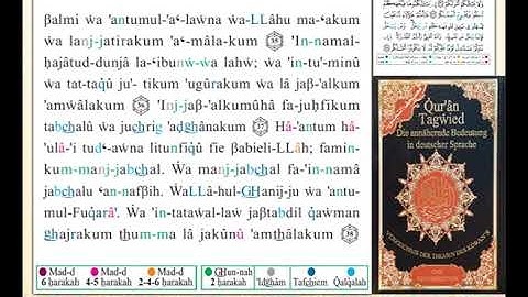 ختمة من مصحف التجويد باللغة الألمانية الصفحة رقم 510