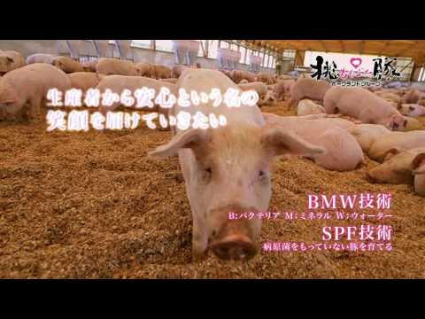 2016 企業イメージCM15秒