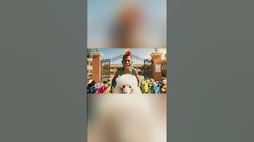 Hùng chồn dẫn 1 tỷ cậu vàng troll capybara và cái kết #trending #funny #capybara #ai #veo3 #shorts