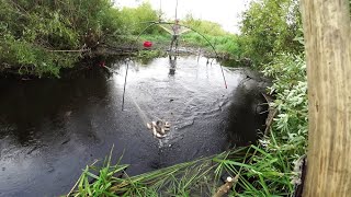 видео: Рыбалка на паук подъёмник в маленькой речушке. картинка: Рыбалка на паук подъёмник в маленькой речушке.