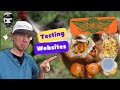 Testing the Wingstop website | Exploratory Testing | QA