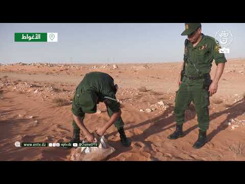 Three People Arrested And 3 000 Pregabalin Capsules Seized In Laghouat 