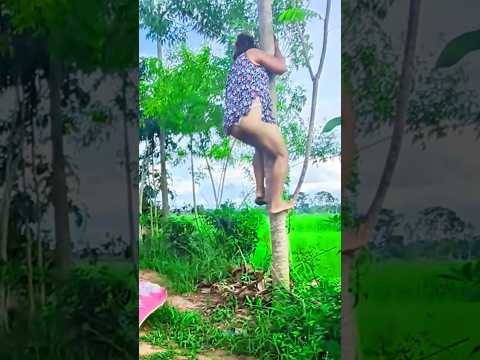 تصوير فواصل من البداية إلى النهاية بناء كوخ خشبي منزل خشبي كيفية بناء كوخ خشبي البقاء على