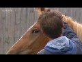 Uwe Weinzierl - Natural Horsemanship Trainer