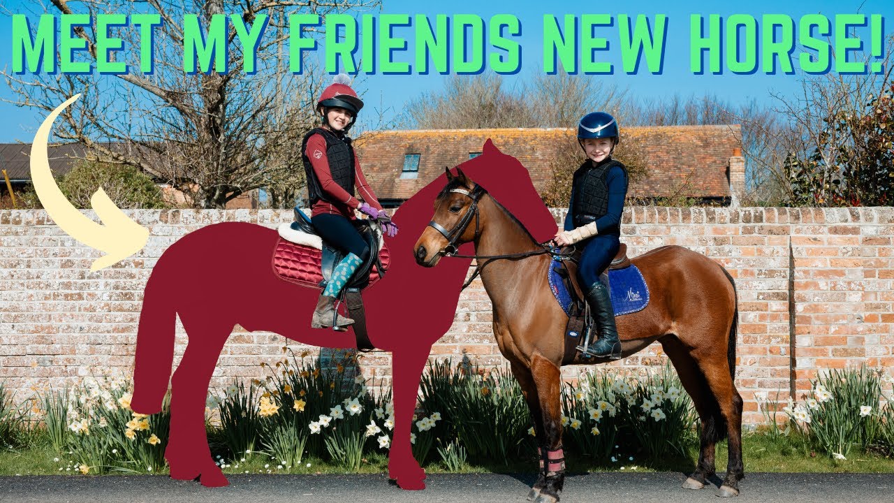 MEET MY FRIENDS NEW HORSE AND GO HACKING!