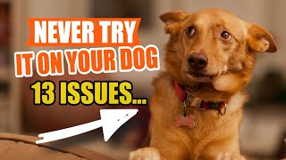 13 Dog HEALTH ISSUES That You Should NEVER Try Home Remedies For🐶 by Veterinary Network 84 views 1 month ago 4 minutes, 45 seconds