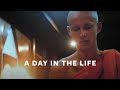 A Day in the Life of a Buddhist Monk