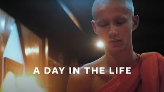 A Day in the Life of a Buddhist Monk
A Day in the Life of a Buddhist Monk A Day in the Life of a Buddhist Monk