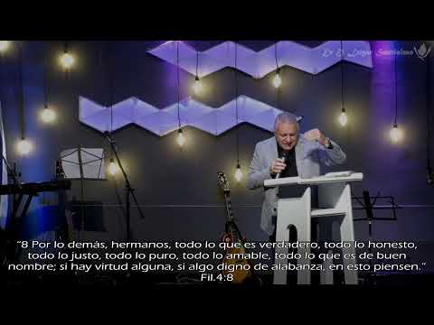 NO DEJES QUE LOS PÁJAROS HAGAN NIDO EN TU CABEZA - Domingo 25 de Julio 2021