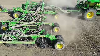 Surge Awnless spring triticale seeding