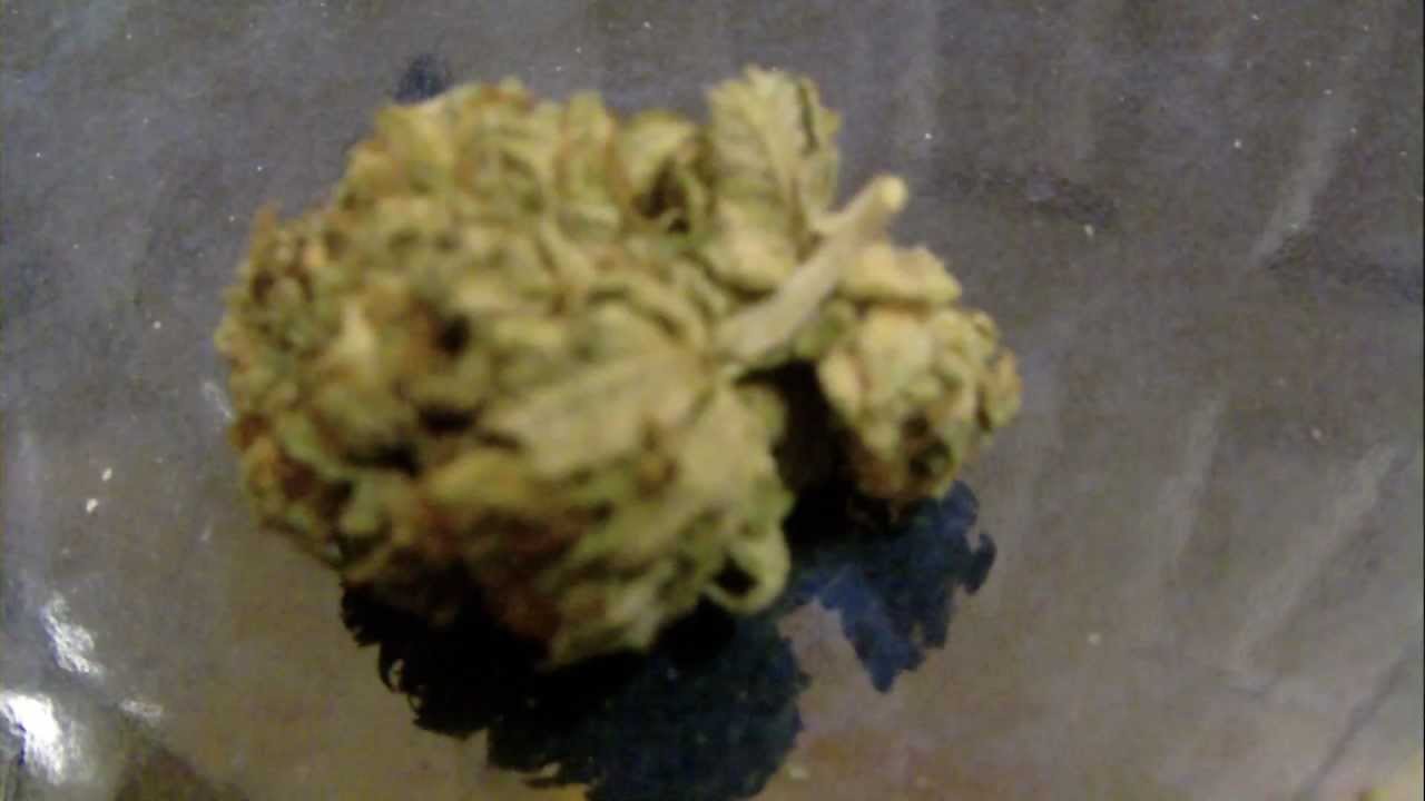 Master Kush! In HD!!!