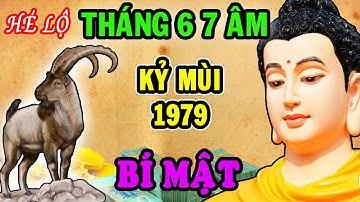 Thần Tài Tiết Lộ Kỷ Mùi 1979 Tháng 6 7 Âm, Hốt Hết Lộc TRời Về Tay, TRẢ SẠCH NỢ NẦN