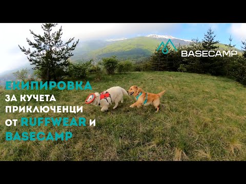 Видео: Deracoxib за кучета