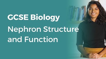 Nephron Structure and Function | 9-1 GCSE Biology | OCR, AQA, Edexcel