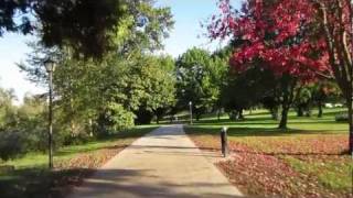 Eugene Oregon Bicycle Path