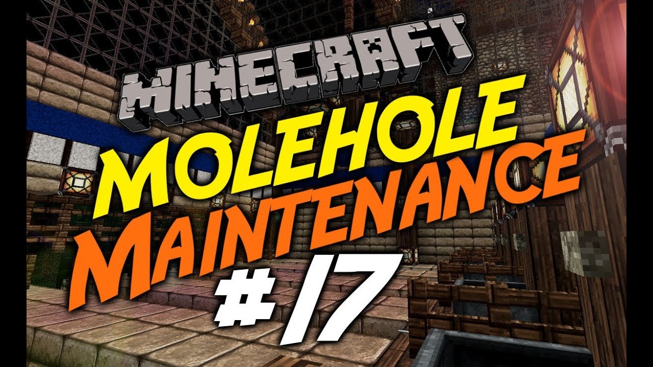 Molehole Maintenance #17 - Molehole Pimpage!
