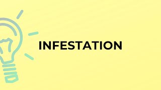 What is the meaning of the word INFESTATION?