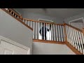 Kermit falls from a stair case