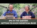 Meet the beneficial bugs in your backyard  84