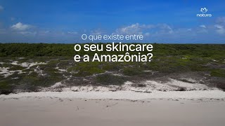 Detalles Regeneração Natura - Projeto Ajuru Guía