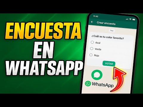 ✅COMO HACER ENCUESTAS EN WHATSAPP ANDROID
