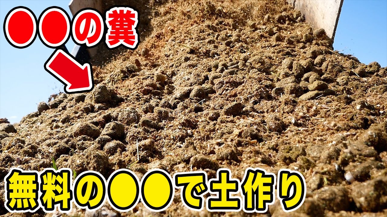 生糞を使った土作り　菌の力で土の中で堆肥化させます