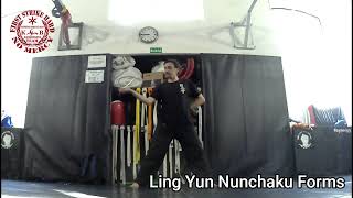 Ling Yun Nunchaku Forms