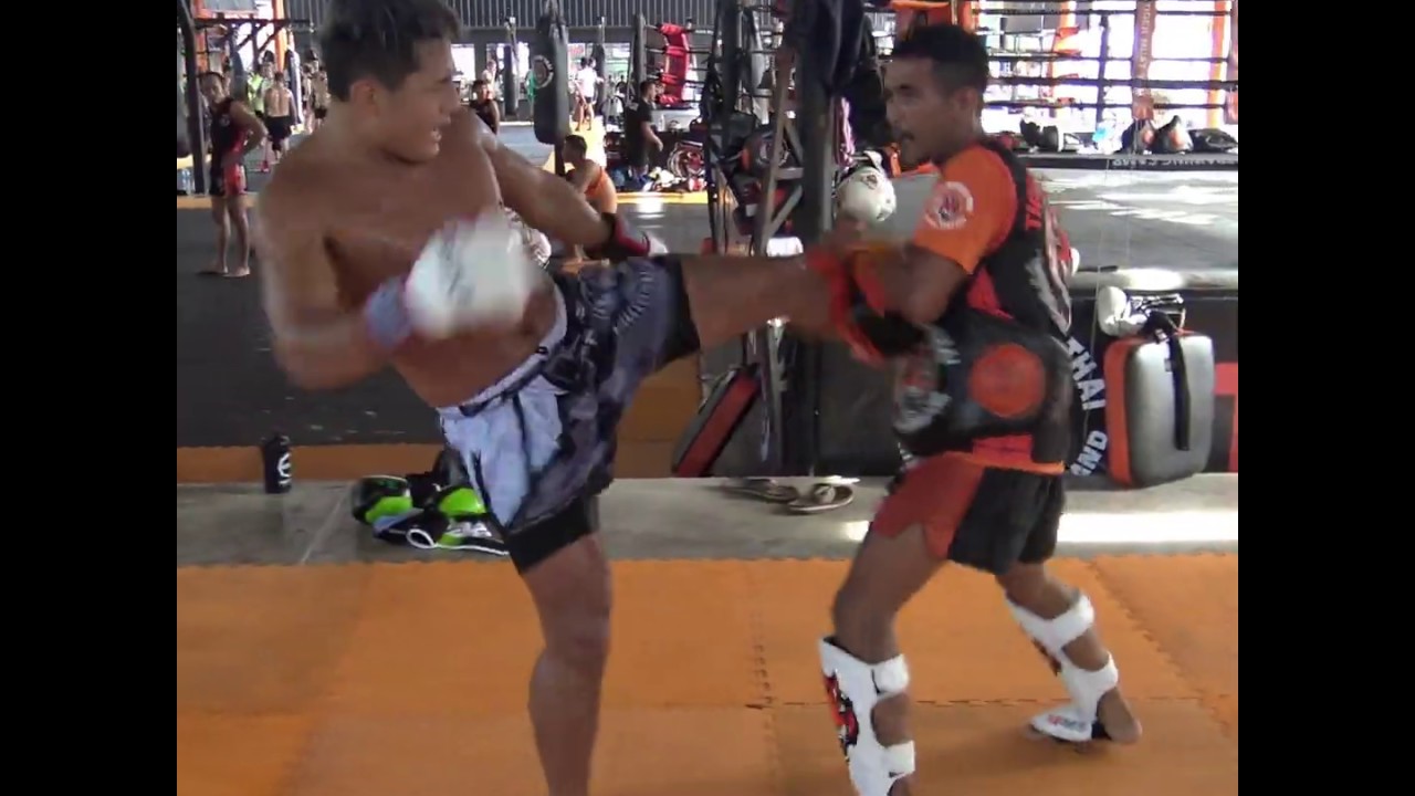 Taiga Kawabe kicking pads with Kru Bird @ Tiger Muay Thai