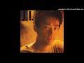 junichi Inagaki - shylights