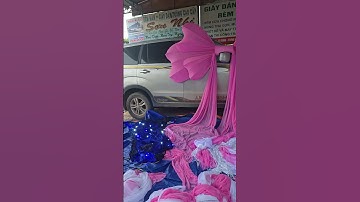 Sơn Nhi chuyên làm nơ cổng đám Cưới, nơ to khổng lồ, nơ xốp, nơ cánh Bướm, nơ khung sắt .