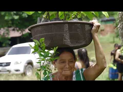 Resistere alla deforestazione, in Guatemala. | zeroCO2 - video from zeroCO2