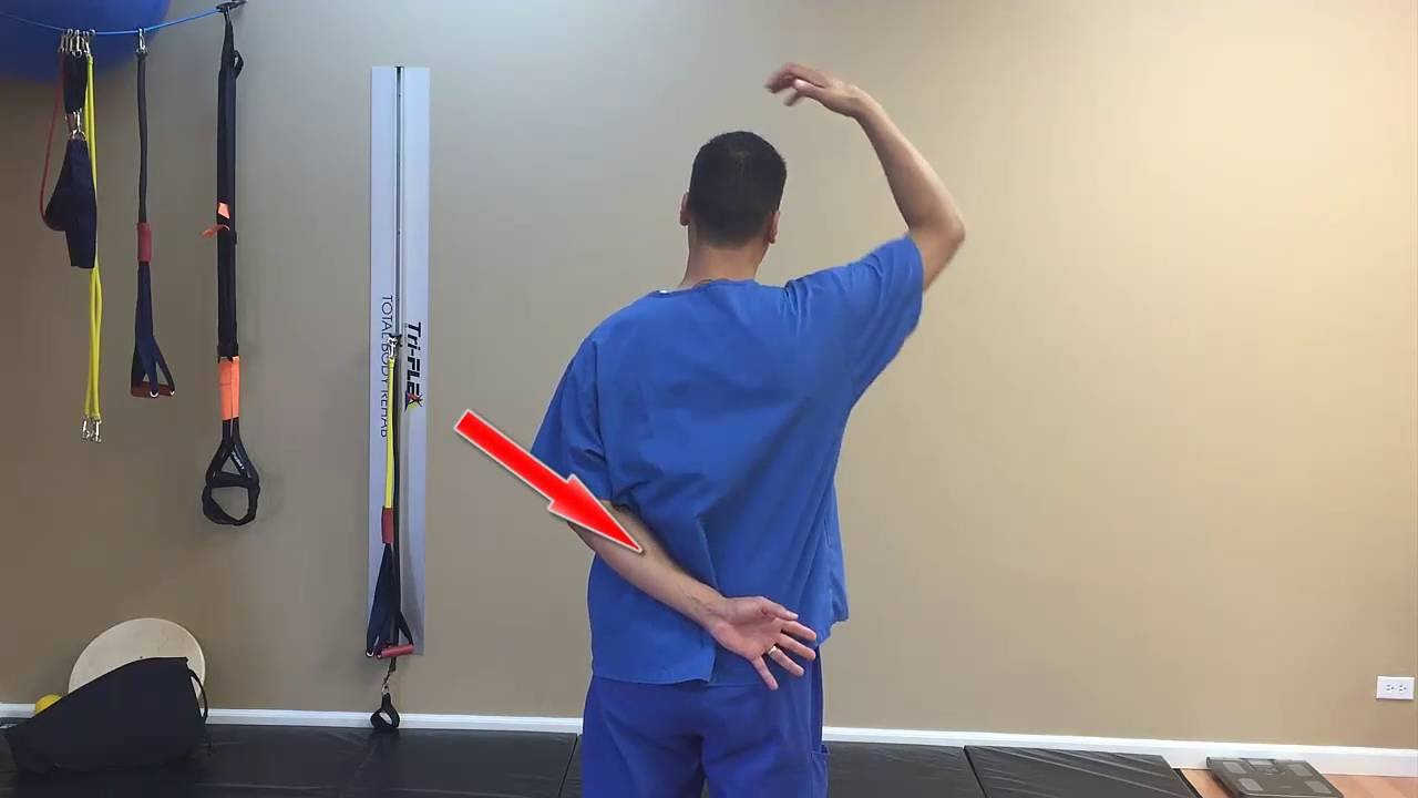 Stretches for Neck Pain Relief | Northbrook Chiropractor - YouTube