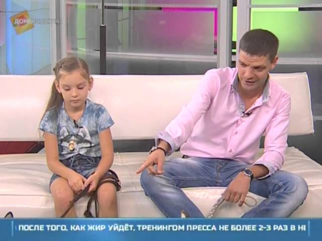 Порода собак - хаски и маламут