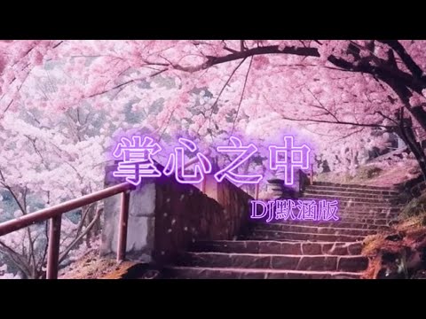 魏佳艺 - 掌心之中(DJ默涵版)『你会不会捧我在掌心之中 让我感受你的不同』 【动态歌词/Chinese Lyrics】 - YouTube
