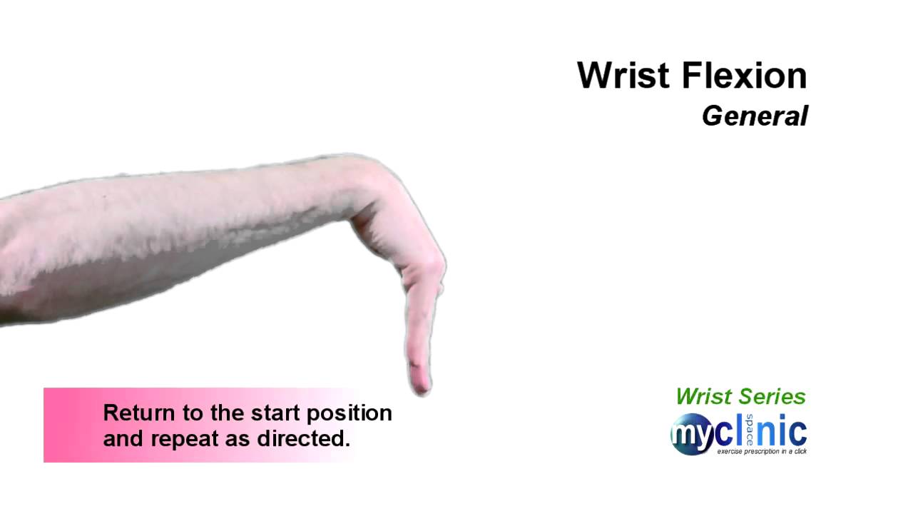 Wrist Series Wrist Flexion YouTube