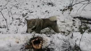 картинка: Начало сезона