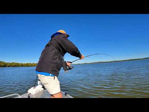 A Fish I Should Have NEVER Caught!