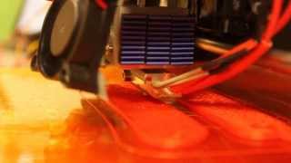 First prints with RepRap