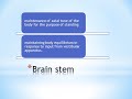 Integration of motor system