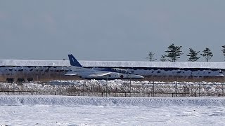 20150202 本日のブルーインパルス 基地上空訓練 #1-3