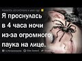 Что самое криповое будило вас среди ночи?