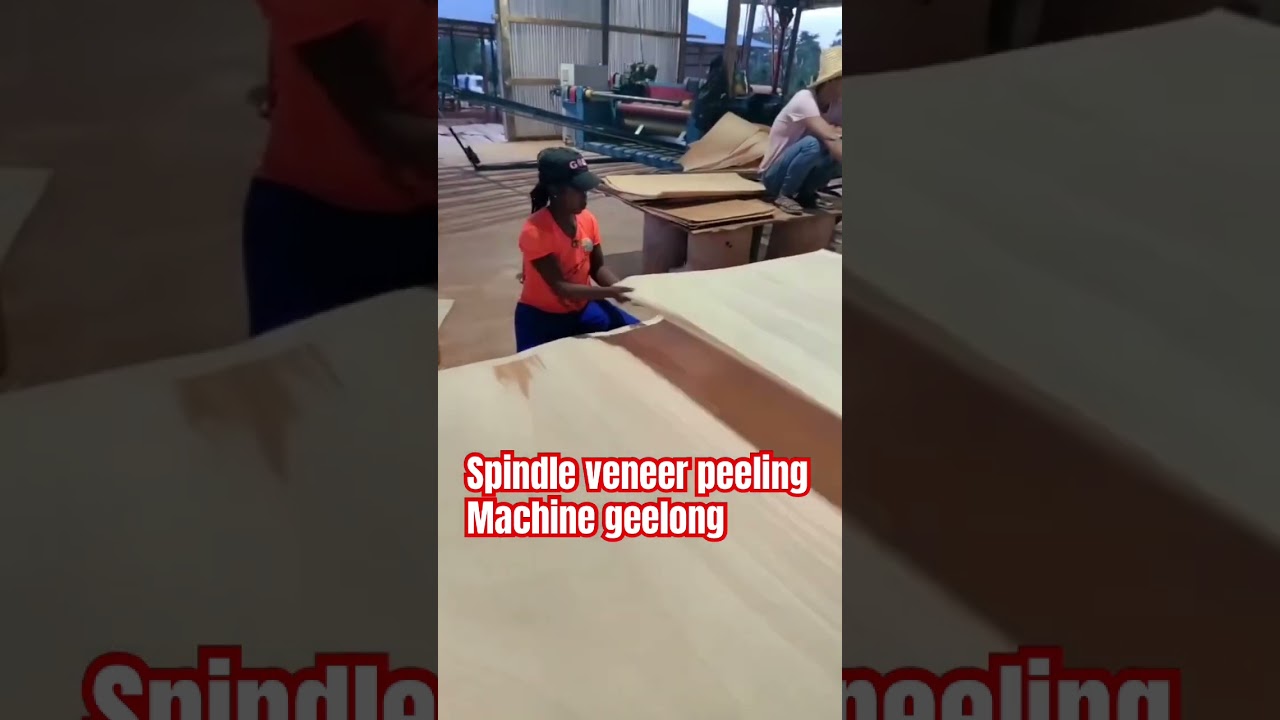 Spindle veneer peeling machine face  veneer production line
