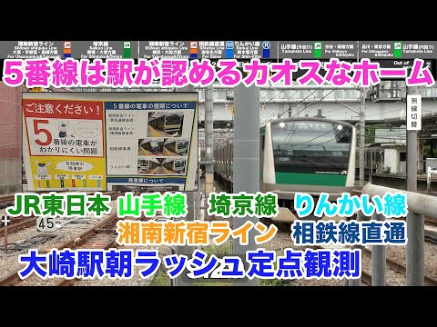 【朝ラッシュ定点観測[33]】5番線は駅が公式に認めるカオスなホーム　JR東日本　大崎駅　2024.7.19　(FHD)　#朝ラッシュ #定点観測 #湘南新宿ライン #埼京線